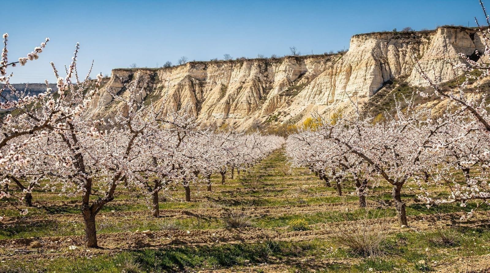 La Cappadoce au printemps : à quoi ressemblent vraiment avril à juin