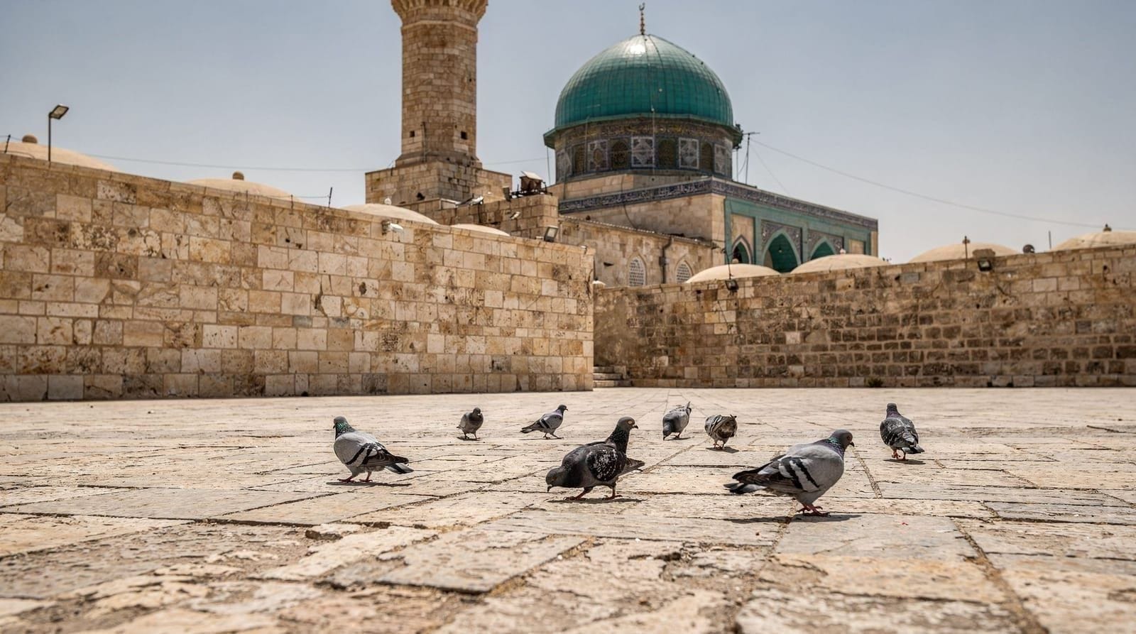 Konya en excursion d'une journée depuis la Cappadoce : six heures de route, est-ce que ça vaut le coup ?