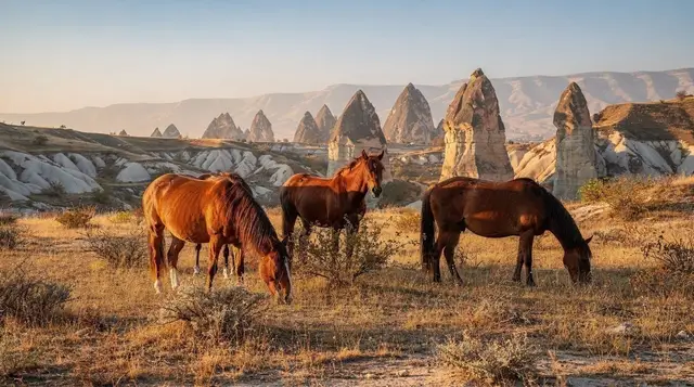 The land of beautiful horses: how Cappadocia got its name